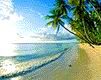 beach - wallpaper preview