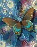 Butterfly - wallpaper preview