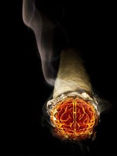 Cigar - wallpaper preview