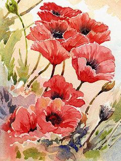 Papaver - wallpaper preview