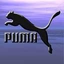 Puma - wallpaper preview