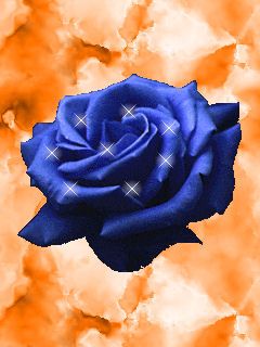 Blue Rose - wallpaper preview