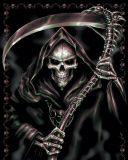 - - wallpaper preview