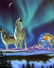 Wolf - wallpaper preview