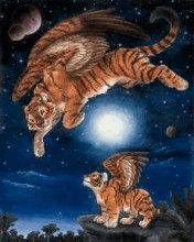 - - wallpaper preview