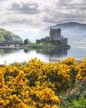 Scotland - wallpaper preview