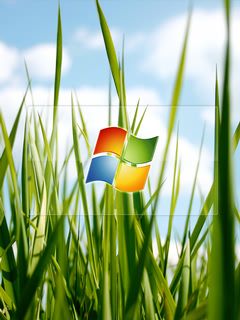 windows - wallpaper preview