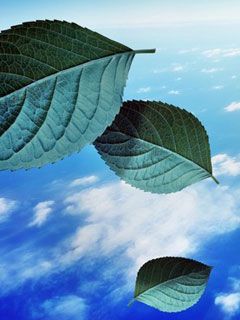 Radiant Wallpaper - wallpaper preview