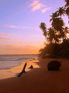 Trinidad Beachfront  - wallpaper preview