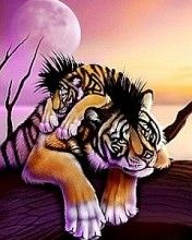 - - wallpaper preview