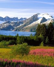 Alaska - wallpaper preview