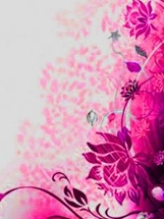 - - wallpaper preview