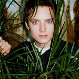 Elijah Wood