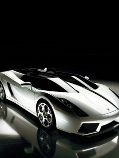 - - wallpaper preview