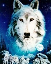 Wolf - wallpaper preview