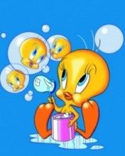 - - wallpaper preview