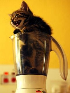 - - wallpaper preview