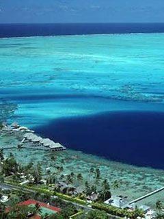 Polynesie - wallpaper preview