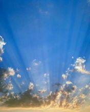 - - wallpaper preview