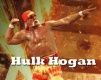 Hulk Hogan - wallpaper preview