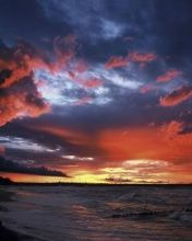 - - wallpaper preview