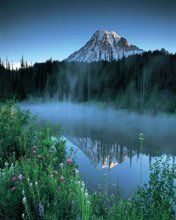 - - wallpaper preview