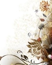 - - wallpaper preview