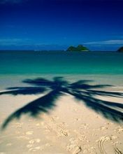 - - wallpaper preview