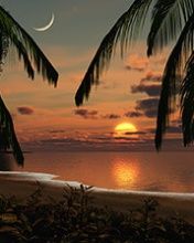 - - wallpaper preview