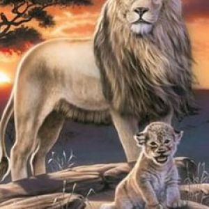 Lions