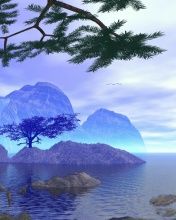 - - wallpaper preview