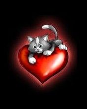Love Kitty - wallpaper preview