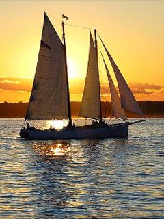 Sail delivery - wallpaper preview
