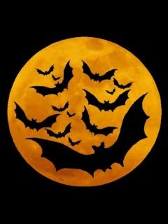 Halloween - wallpaper preview