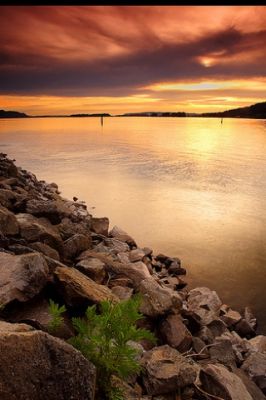 - - wallpaper preview