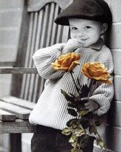 - - wallpaper preview