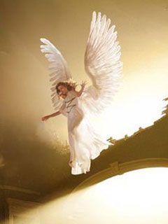 Angel - wallpaper preview