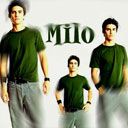 Milo Ventimiglia  - wallpaper preview