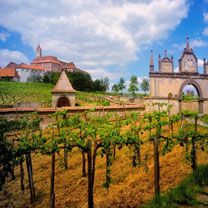 Austrian Vineyard - wallpaper preview
