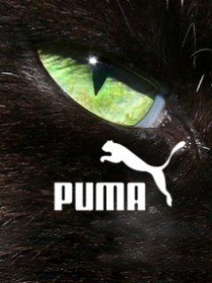 Puma - wallpaper preview