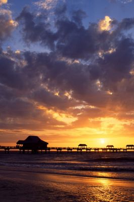 - - wallpaper preview