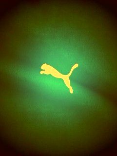 Puma - wallpaper preview