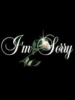 Im Sorry - wallpaper preview