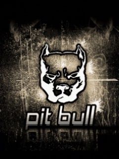 Pit Bull - wallpaper preview