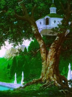 - - wallpaper preview