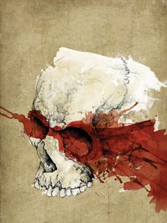 Skull - wallpaper preview