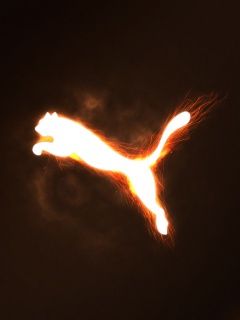 Puma - wallpaper preview