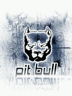 Pit Bull - wallpaper preview
