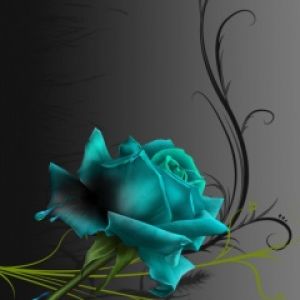 Blue Rose
