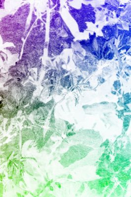 - - wallpaper preview